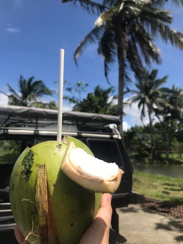A fresh green coconut with a paper straw and a piece of coconut flesh
